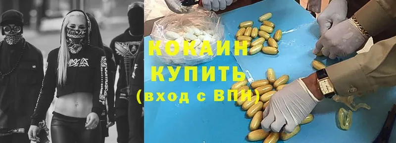 цены наркотик  Жиздра  Cocaine FishScale 